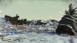 nms4.jpeg