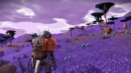 nms5.jpeg