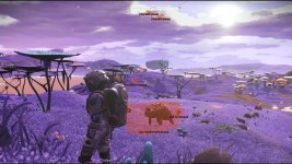 nms6.jpeg